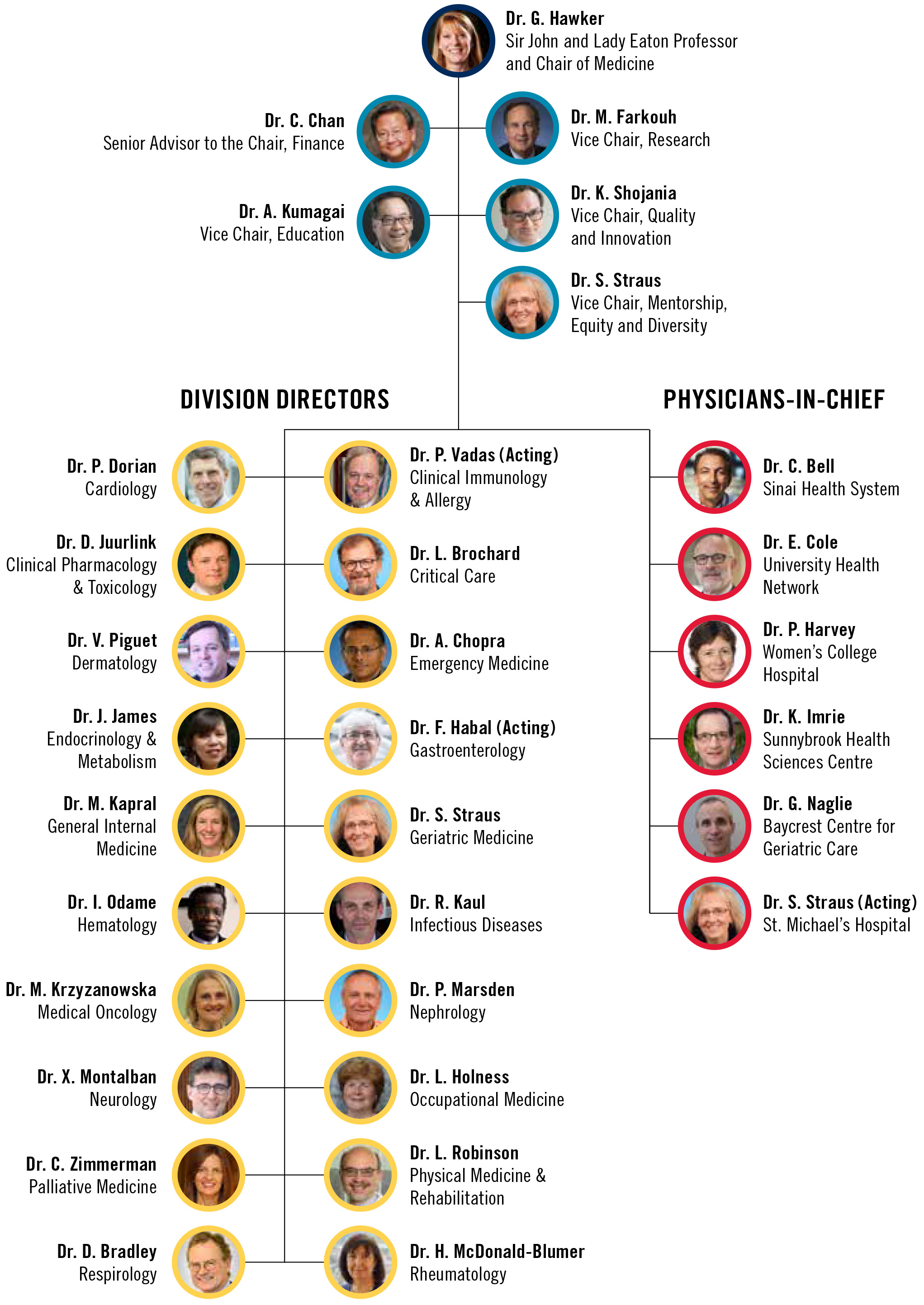 Department of Medicine Organizational Chart