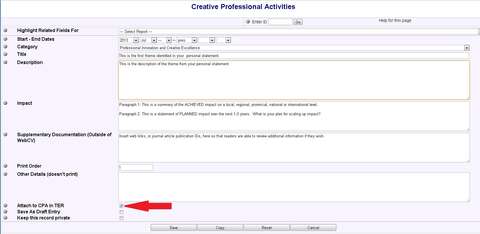 Figure 1 - Creative Professional Activity Record Entry Screen Example