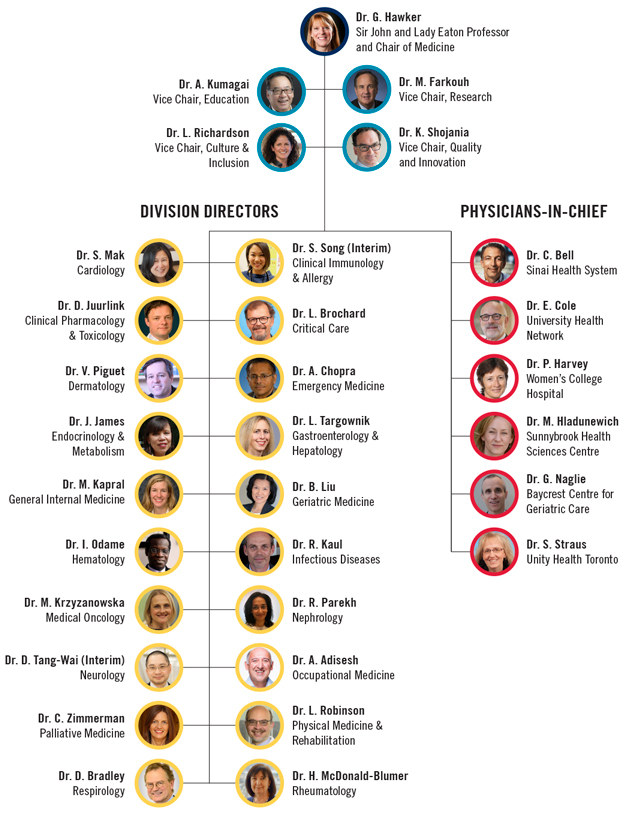 Department of Medicine Organizational Chart